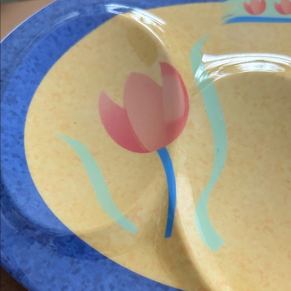 Colorful Divided Plate - Picture 6 of 6